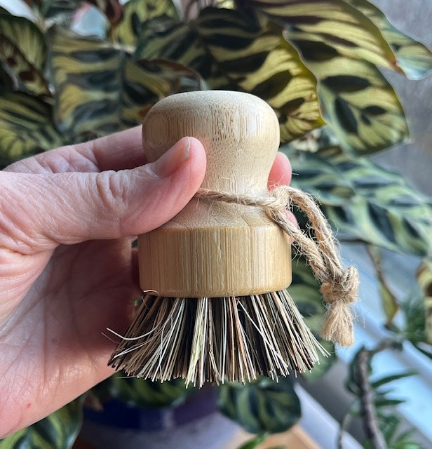 plant pot brush Bamboo Pot Scrubber – Pumice And Stone Soap